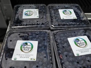 Blueberry Ranch