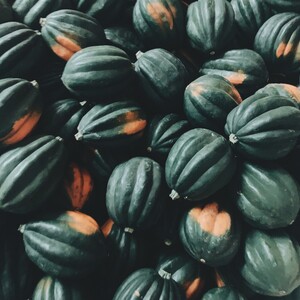 Tomato Mountain Farm