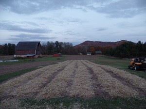 MoonRise Farm