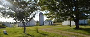Campbell's Farm