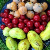Fair Share Farm