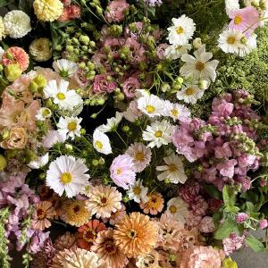 Aromatic Acres LLC