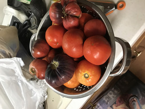 P.O.P.S. ( Pike's Organic Products and Services)  Farms