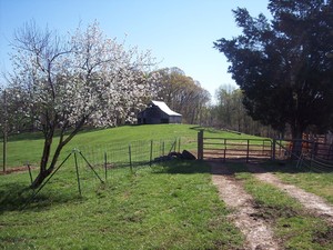 Faith Farm