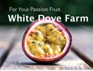 White Dove Passion Fruit Farm California