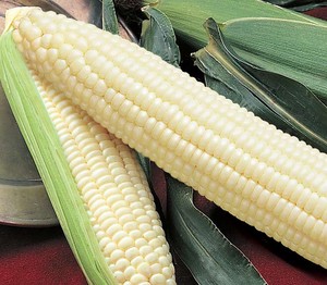 Avalon Farms Homegrown