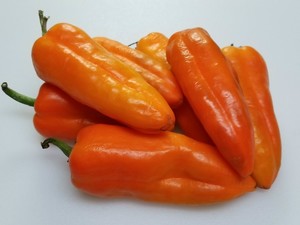 Refining Fire Chiles