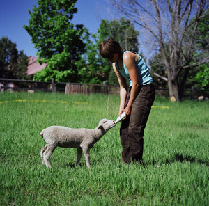 Cure Organic Farm