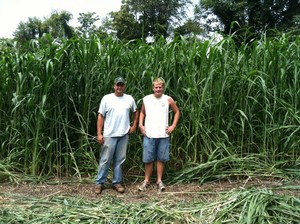 Thousand HIlls Farm LLC