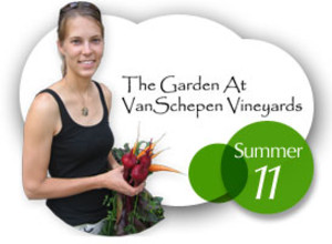 Blizzard Wines at VanSchepen Vineyards