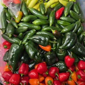 Rufener Farms