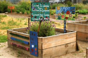 Jerome CommUnity Learning Garden