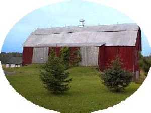 Fancher's Creekside Farm