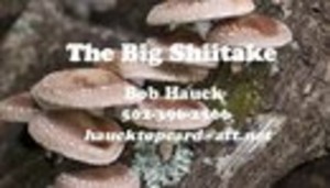 The Big Shitake