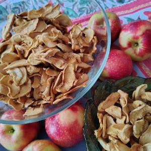 Bayfield Foods CSA