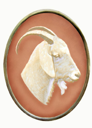 Darlin' Doe Farm
