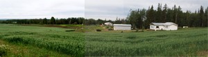 Gundy Farm