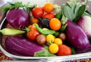 Lavender Hills Farm and CSA