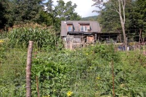 Woodland Harvest Mountain Farm