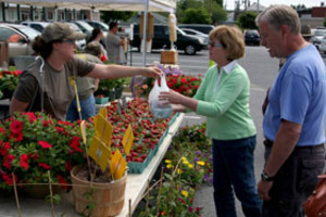 Catonsville Sunday Farmers Market