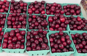 West Humboldt Park City Market