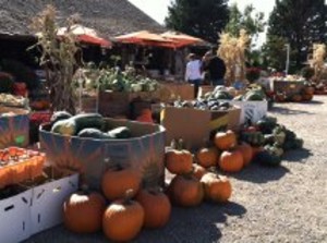 Wagner Farms