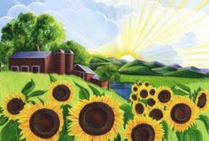 CVFC Farmer's Market