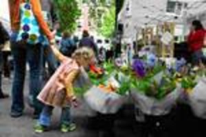 Springfield Farmers Market