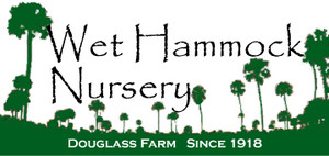 Wet Hammock Nursery- Douglass Farm