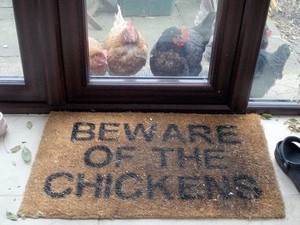 Peltier Poultry