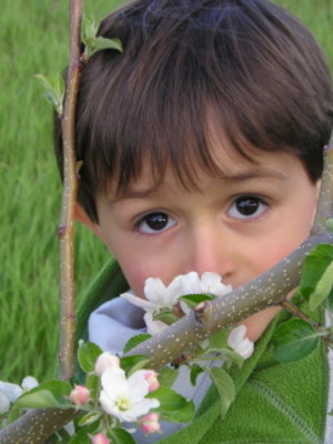 Blue Moon Orchard