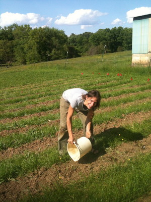 Proud Food Farm