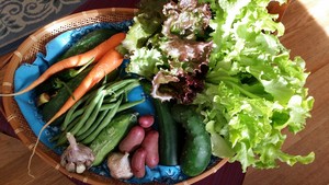 East Aberdeen Community Farm