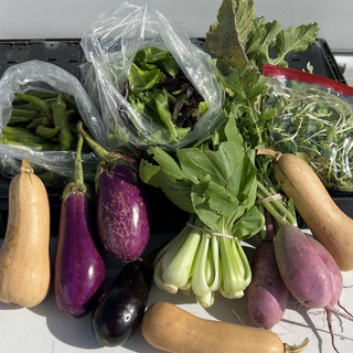Central Texas Farmers Co-op