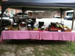 B&C Produce Farm