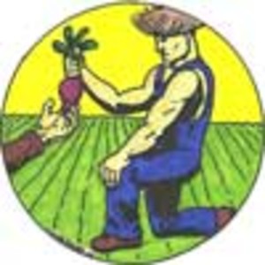 Cool Hollow Farms
