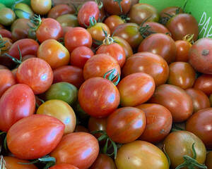 Sandys Way Microfarm