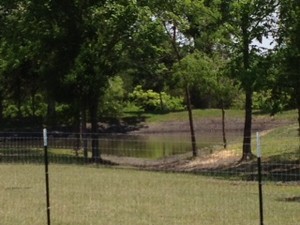 Nature Rich Farm