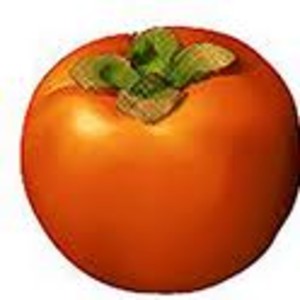 JCB Farms, LLC