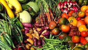 Hill Hollow Farm