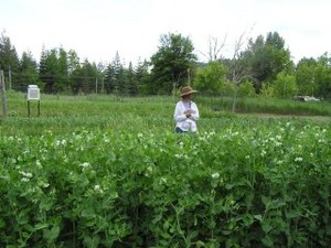 Greentree Naturals