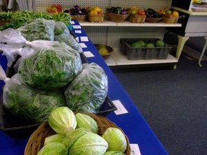 Boulder Belt Eco-Farm