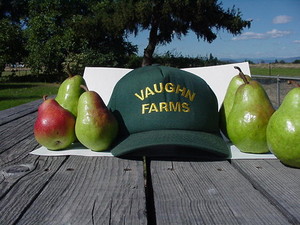 Vaughn Farm and Orchard