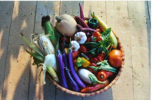 Sylvanus Farm CSA