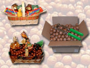 Blackjack Orchards