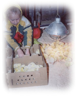 Good Earth Farms