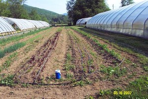 Jake's Farm