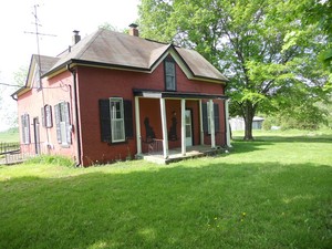 Bizzy Bee Farm