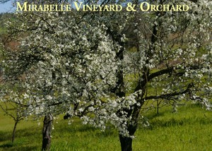 Mirabelle Vineyard & Orchard
