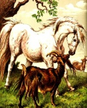 Hiddenbrook Farm